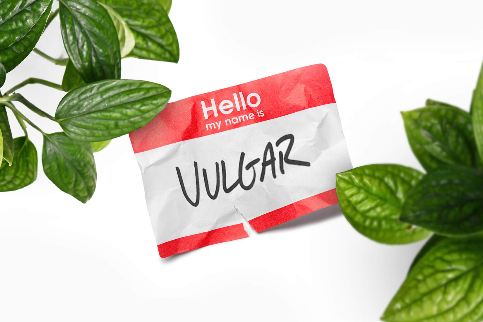 Why Our Digital Marketing Agency is Called Vulgar